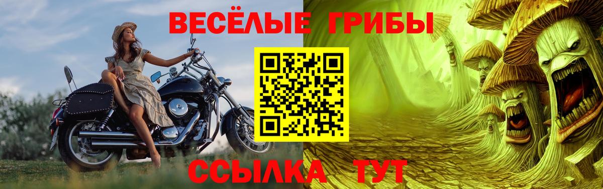 Псилоцибиновые грибы GOLDEN TEACHER  Вход с VPN  Сатка 