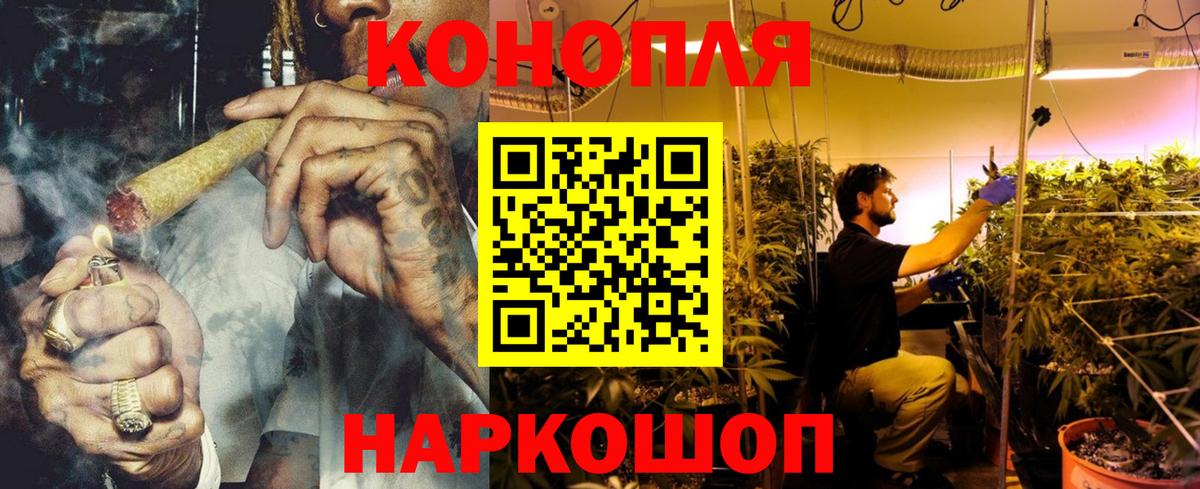 Канабис планчик  Вход с VPN  МАРИХУАНА OG Kush  Сатка  Бошки Шишки семена 